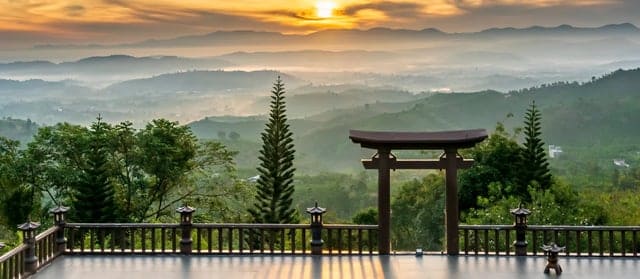 Vi vu cùng Lạc Sanh